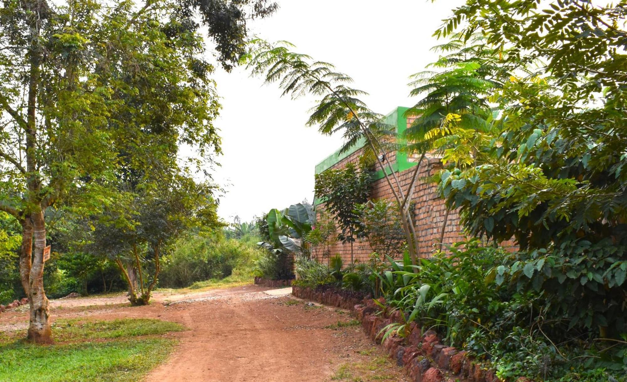Iziba Lodge - Hoima Εξωτερικό φωτογραφία